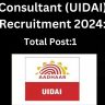 UIDAI recruitment 2024 for Consultant in New Delhi